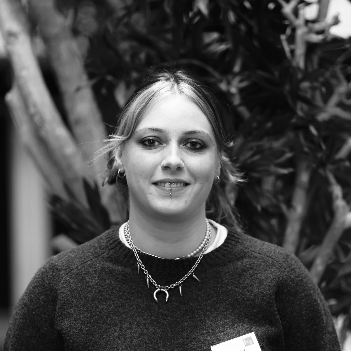 This is the alt text