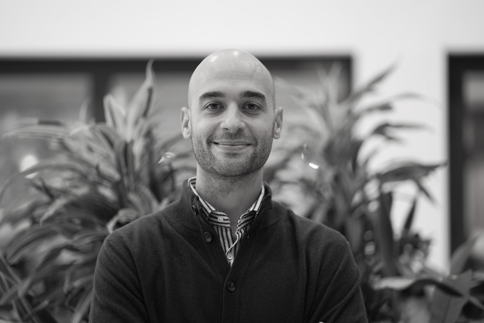 This is the alt text