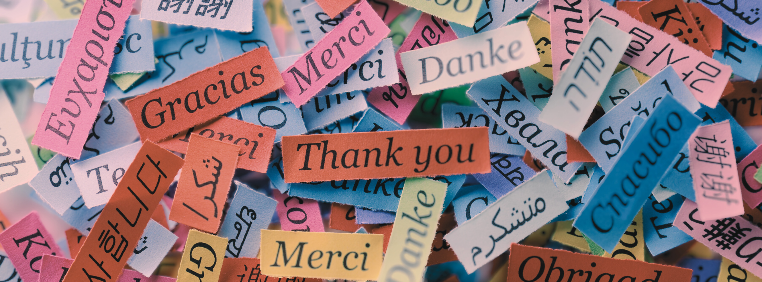 Thank you from LCDS
