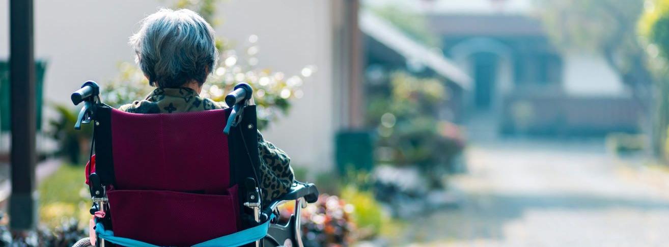 Upcoming LCDS Seminar: Jane Greve on "Family Spillovers of Dementia"