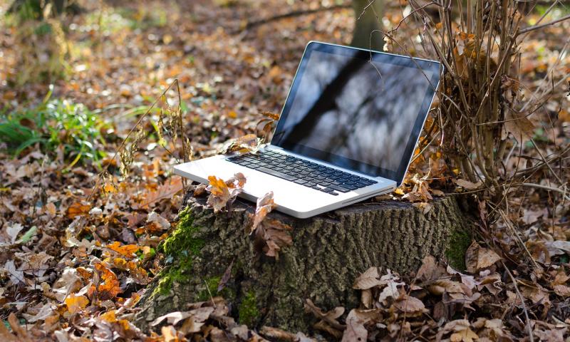 Laptop on a tree stump