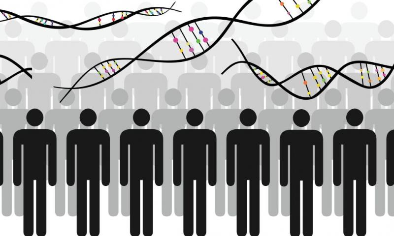 Lines of people silhouettes standing below strands of DNA