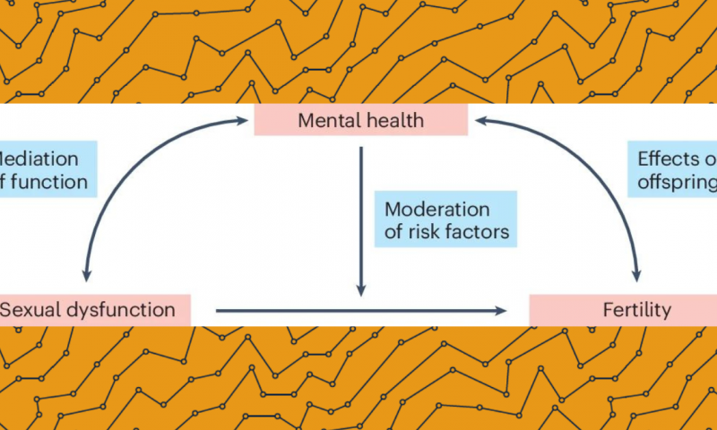 Study figure 1: Fig. 1: The interplay between male fertility, mental health and sexual function.