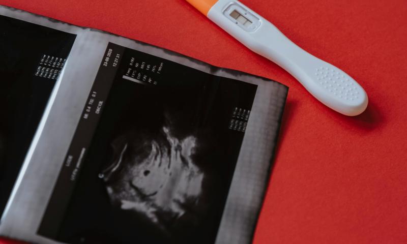 Improving Fertility Forecasts: New Research Highlights the Importance of Birth Order Dynamics